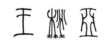 陈墨王桃亚篆书个性签名怎么写