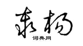 曾庆福秦杨草书个性签名怎么写