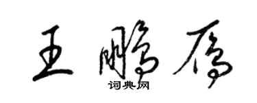 梁锦英王鹏雁草书个性签名怎么写