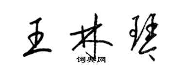 梁锦英王林琴草书个性签名怎么写