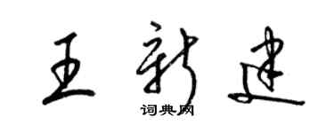 梁锦英王新建草书个性签名怎么写