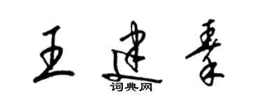 梁锦英王建秦草书个性签名怎么写