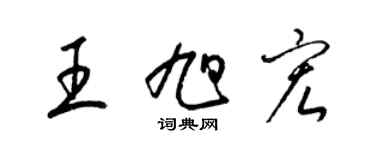 梁锦英王旭宏草书个性签名怎么写
