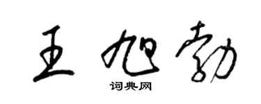 梁锦英王旭勃草书个性签名怎么写