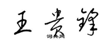 梁锦英王贵锋草书个性签名怎么写