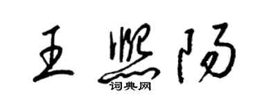 梁锦英王熙阳草书个性签名怎么写