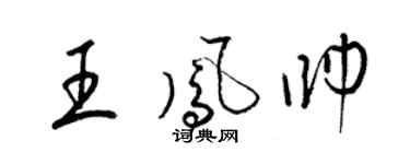 梁锦英王凤帅草书个性签名怎么写