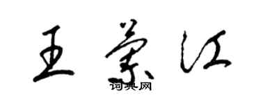 梁锦英王兰江草书个性签名怎么写