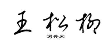 梁锦英王松柳草书个性签名怎么写