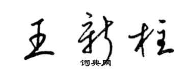 梁锦英王新柱草书个性签名怎么写