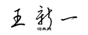 梁锦英王新一草书个性签名怎么写