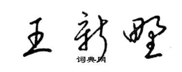 梁锦英王新野草书个性签名怎么写