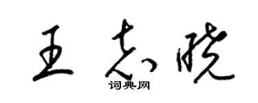 梁锦英王志晓草书个性签名怎么写