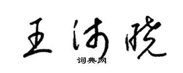 梁锦英王沛晓草书个性签名怎么写