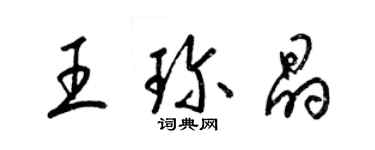 梁锦英王珍晶草书个性签名怎么写