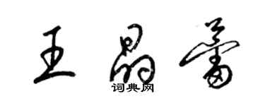 梁锦英王晶蕾草书个性签名怎么写