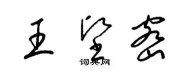 梁锦英王坚密草书个性签名怎么写
