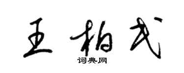 梁锦英王柏民草书个性签名怎么写