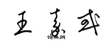 梁锦英王嘉或草书个性签名怎么写