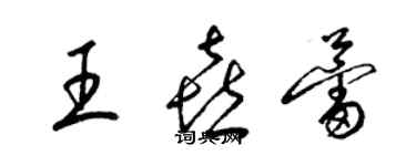 梁锦英王喜蕾草书个性签名怎么写