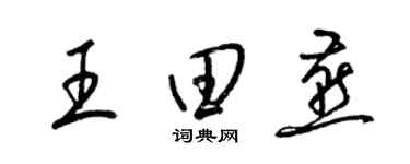 梁锦英王田燕草书个性签名怎么写