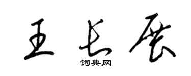 梁锦英王长展草书个性签名怎么写