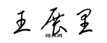 梁锦英王展里草书个性签名怎么写