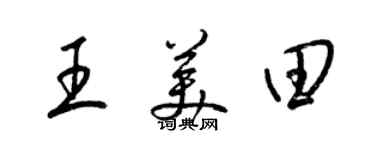 梁锦英王美田草书个性签名怎么写