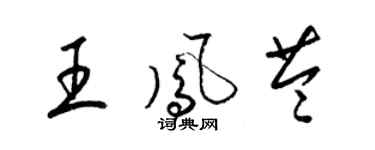 梁锦英王凤苓草书个性签名怎么写
