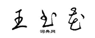 梁锦英王书花草书个性签名怎么写