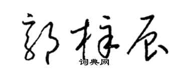 梁锦英郭梓辰草书个性签名怎么写