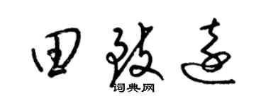 梁锦英田致远草书个性签名怎么写