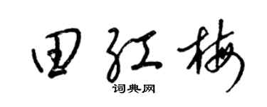 梁锦英田红梅草书个性签名怎么写