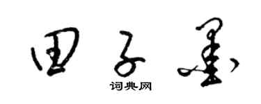 梁锦英田子墨草书个性签名怎么写