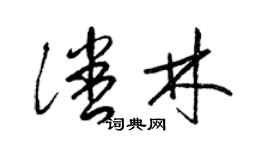 梁锦英潘林草书个性签名怎么写