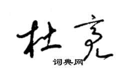 梁锦英杜亮草书个性签名怎么写