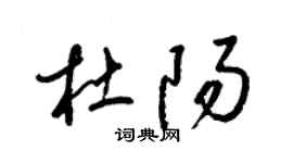 梁锦英杜阳草书个性签名怎么写