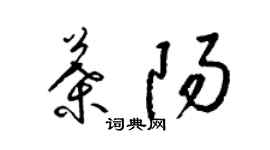 梁锦英叶阳草书个性签名怎么写