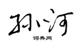 曾庆福孙河行书个性签名怎么写