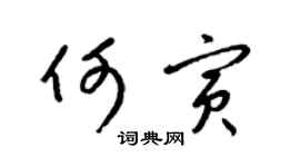 梁锦英何寅草书个性签名怎么写