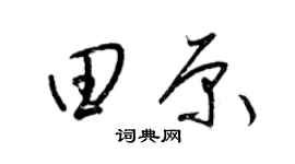 梁锦英田原草书个性签名怎么写