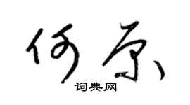 梁锦英何原草书个性签名怎么写