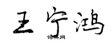 曾庆福王宁鸿行书个性签名怎么写