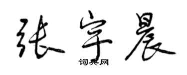 曾庆福张宇晨行书个性签名怎么写