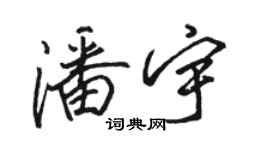 骆恒光潘宇行书个性签名怎么写