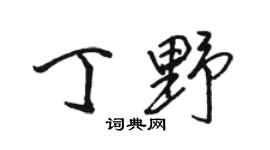 骆恒光丁野行书个性签名怎么写