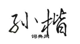 骆恒光孙楷行书个性签名怎么写