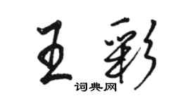 骆恒光王彩行书个性签名怎么写