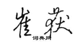骆恒光崔获行书个性签名怎么写