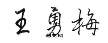 骆恒光王勇梅行书个性签名怎么写